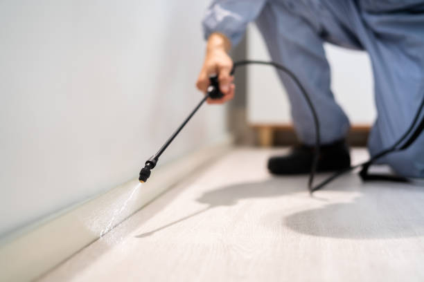 Bed Bug Pre-Treatment Preparation Assessment in Oakland