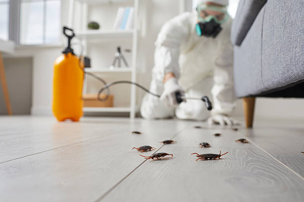 Post-Treatment Bed Bug Interceptor Monitoring in Oakland
